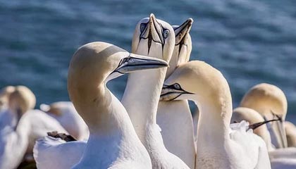 法国国家队横扫欧国联对手，取得大胜，法国国家队阵容2021欧洲杯