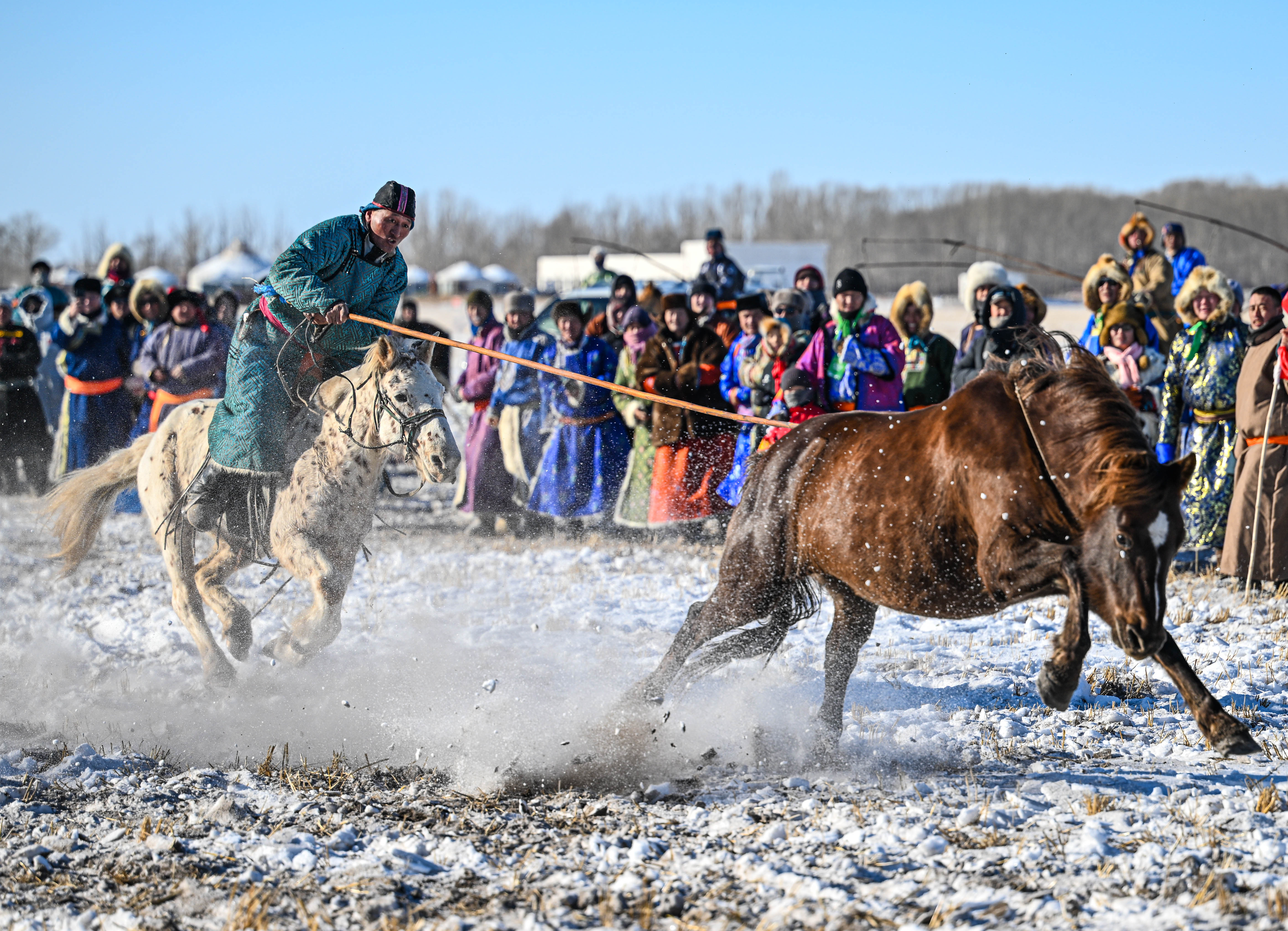 辽阔草原夺羊比赛，传统竞技里的速度争锋的简单介绍