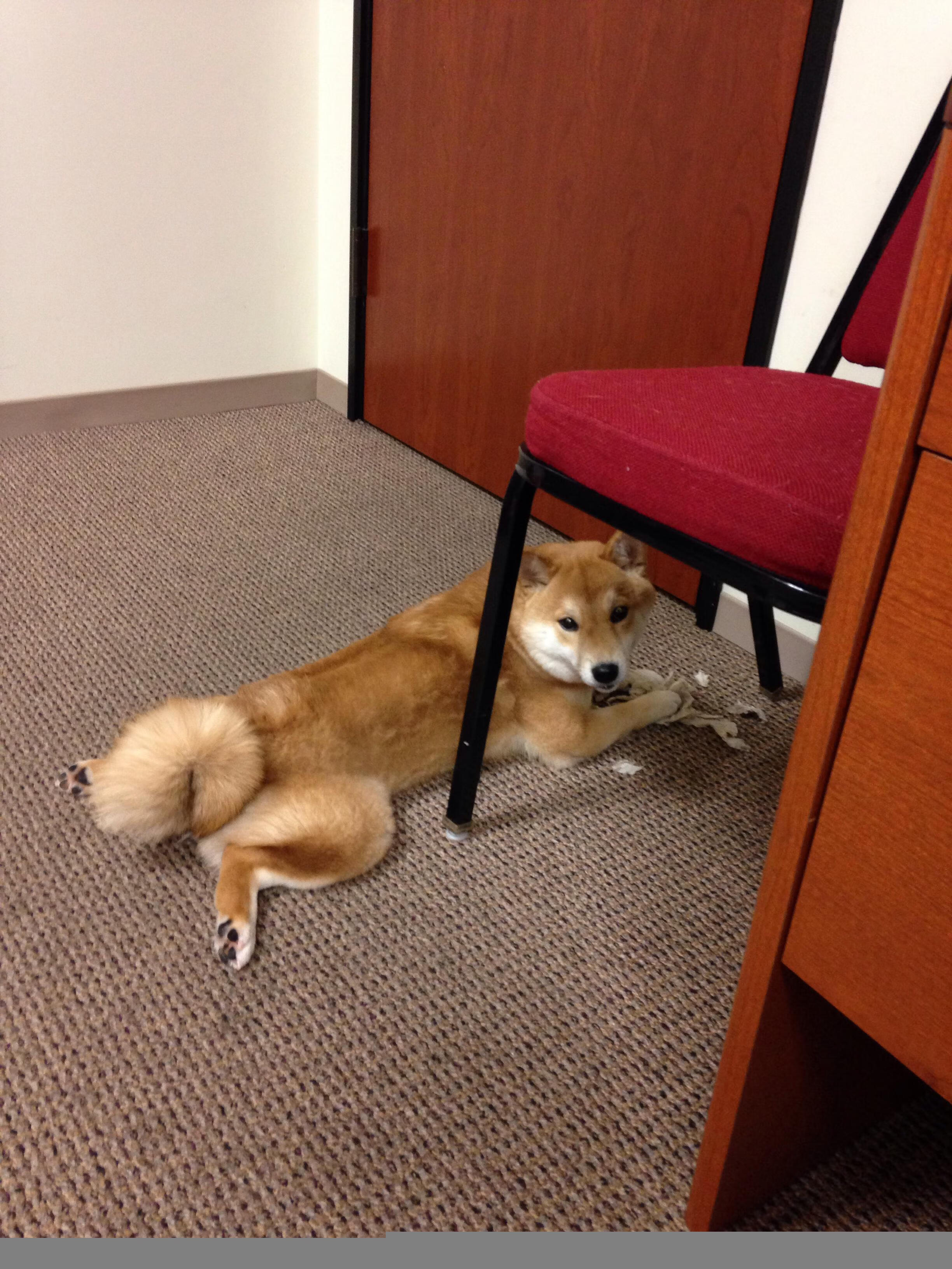 【新规“秒投”规则正式实施】比赛节奏为何越发紧凑？，秒投选手