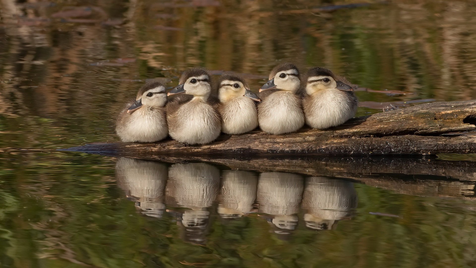 中国队在巴黎奥运会比赛中多次通过中路渗透得分,奥运会中国对巴西足球
