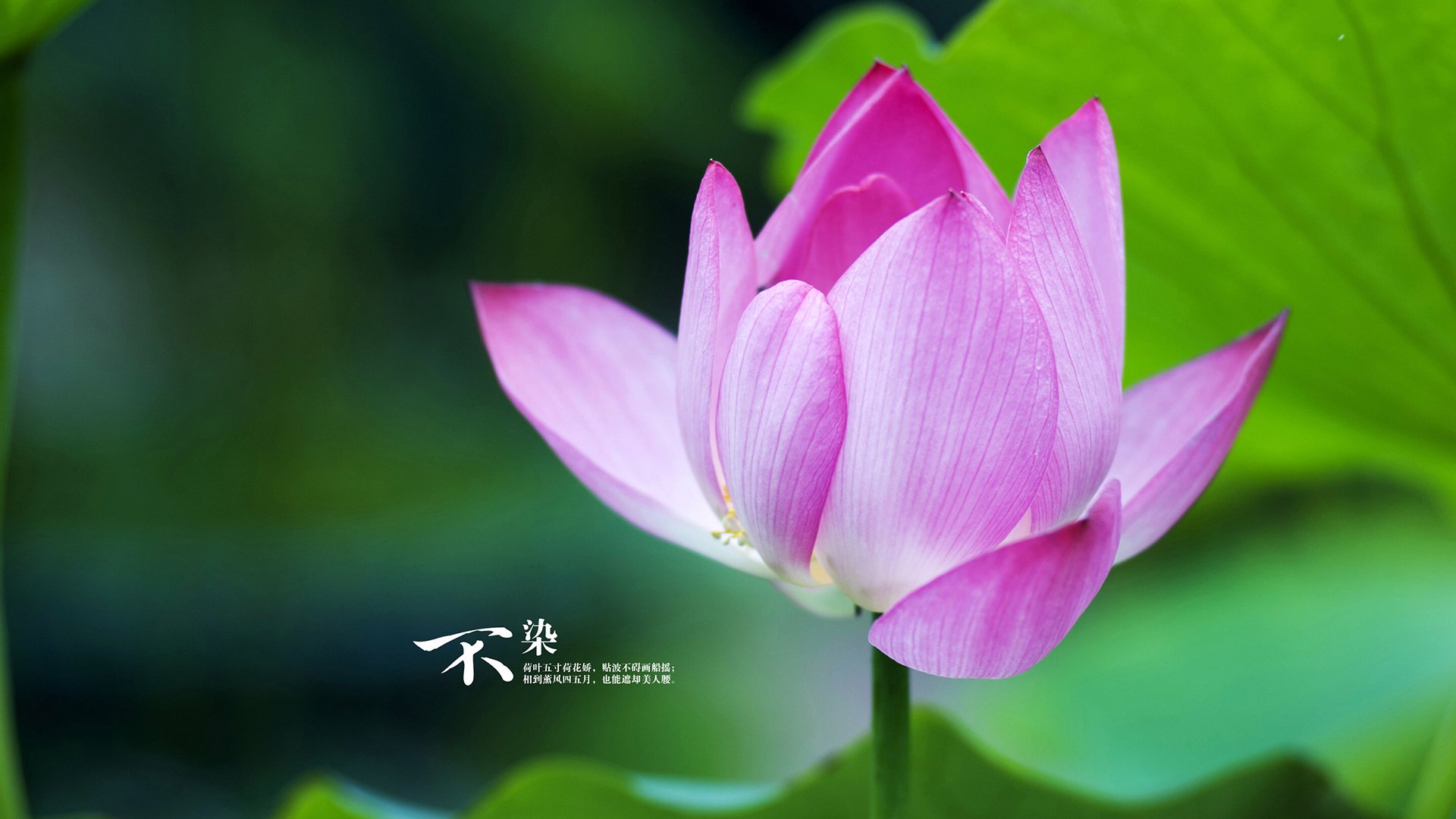 全国足球场馆绿色建设示范点正在铺开，国家足球场地建设标准