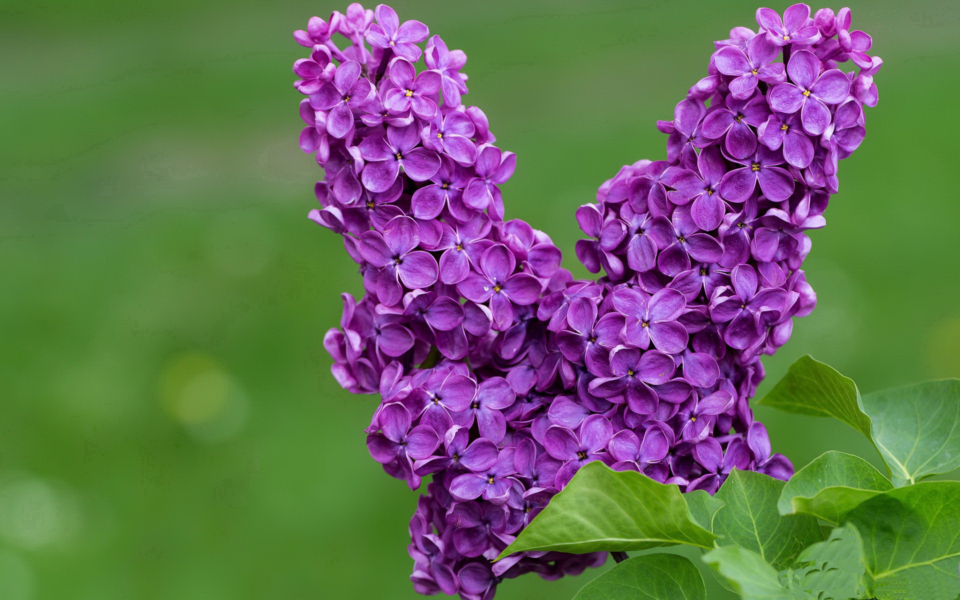 全国足球基础设施建设提速，场馆标准化成为新趋势，全国社会足球场地设施建设专项行动实施方案(试行)