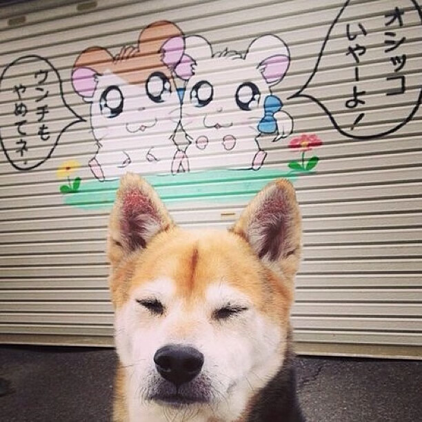 新星登场：联盟新秀的成长轨迹分析，新秀联赛