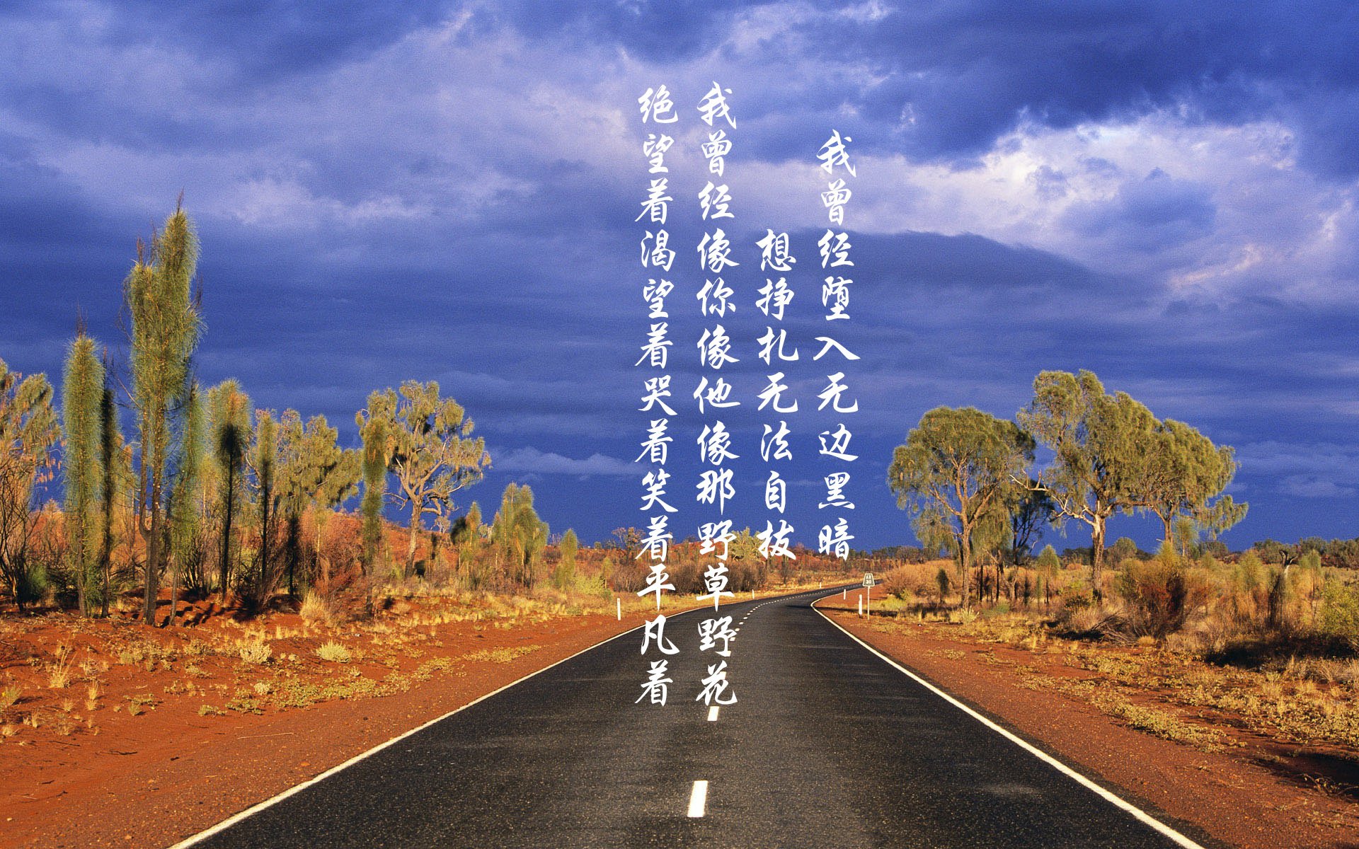 欧冠激情时刻,球迷的呐喊震天动地,欧冠名场面