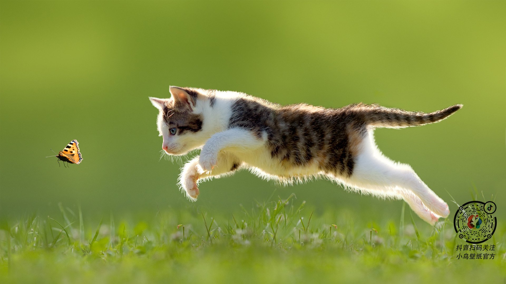 特色山脊滑索穿越，飞跃山谷体验极限运动，飞跃山峰