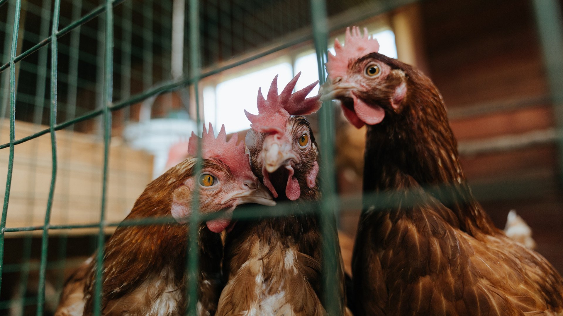 战术安排周密，比赛节奏激烈变化，一场比赛的战术分析