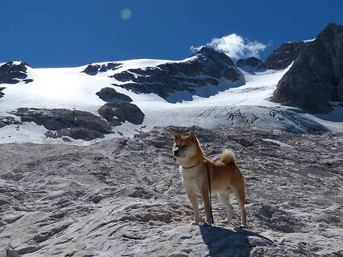 辽宁本钢主帅谈球队未来发展方向,辽宁本钢队现任队长是谁