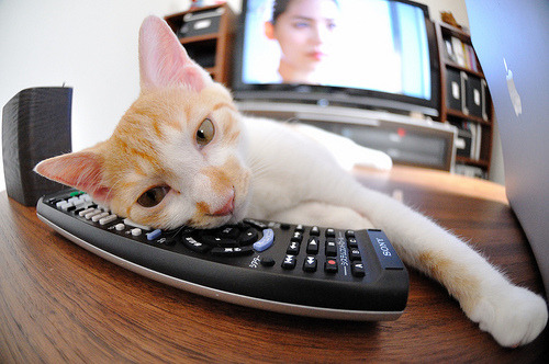 意甲球队心率变异性监控优化训练计划，心率变异性 知乎