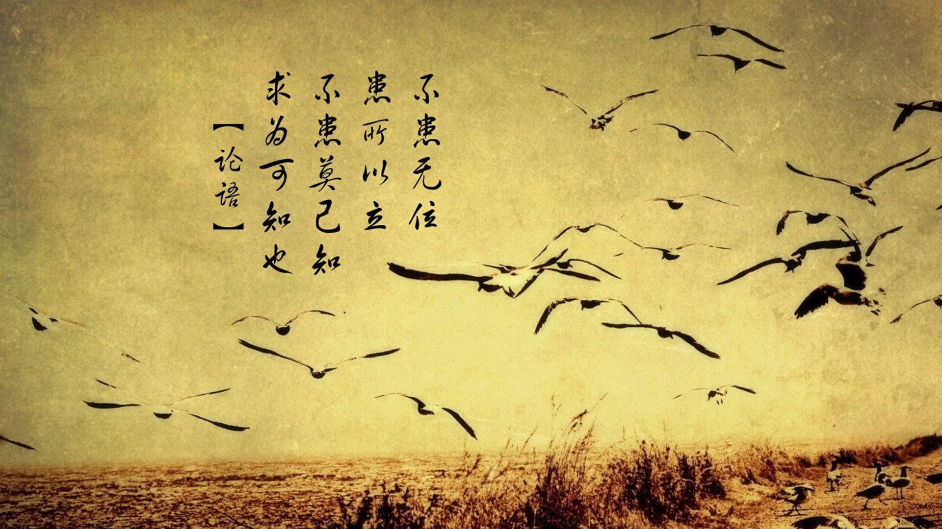 中国三人篮球女队打造高强度防守体系，中国三人篮球女生