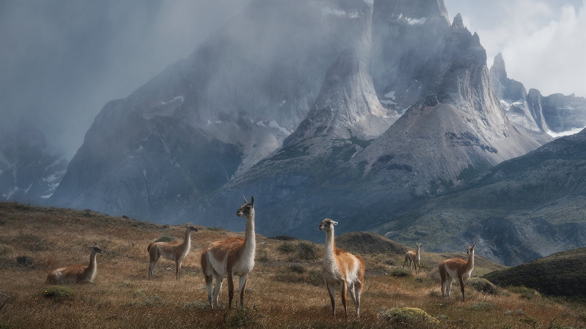 女子接力赛战术得当拔头筹,女子接力赛逆袭