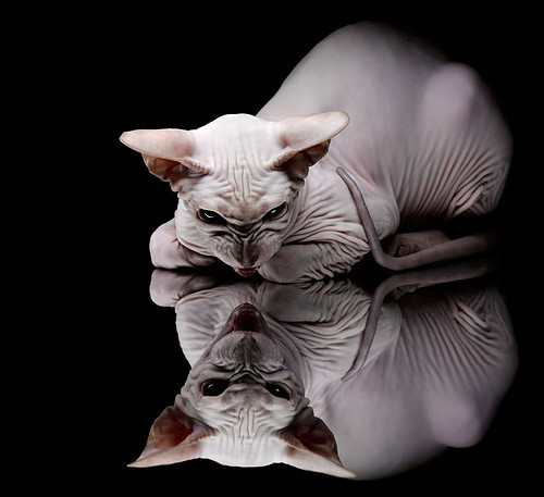 大学生篮球训练大纲标准化建设推动课程质量稳步提升，大学生篮球训练方案