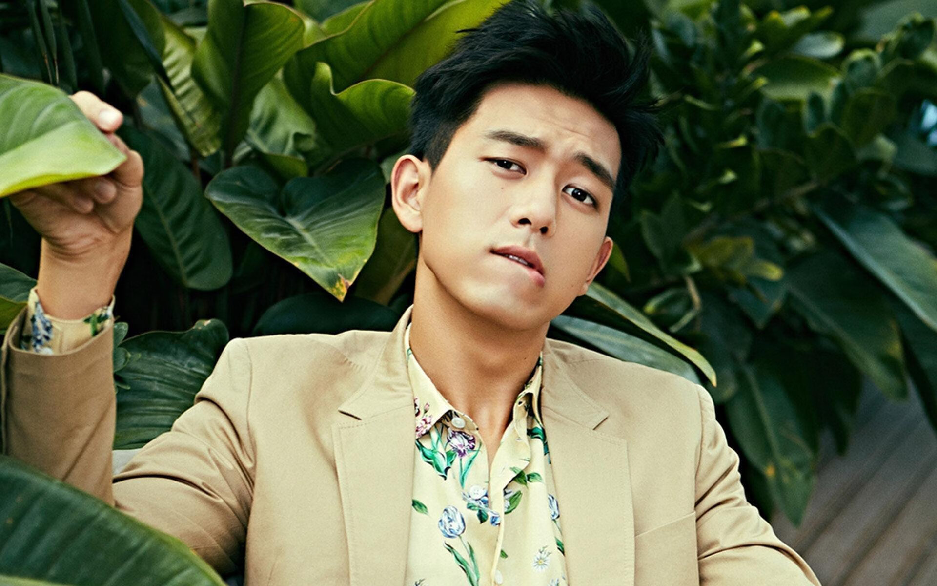 德甲节奏飞快：速度与力量齐飞！，德甲强度