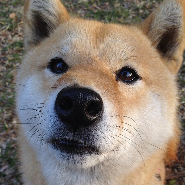 西甲攻防一体：精彩瞬间轮番上演，西甲身体对抗