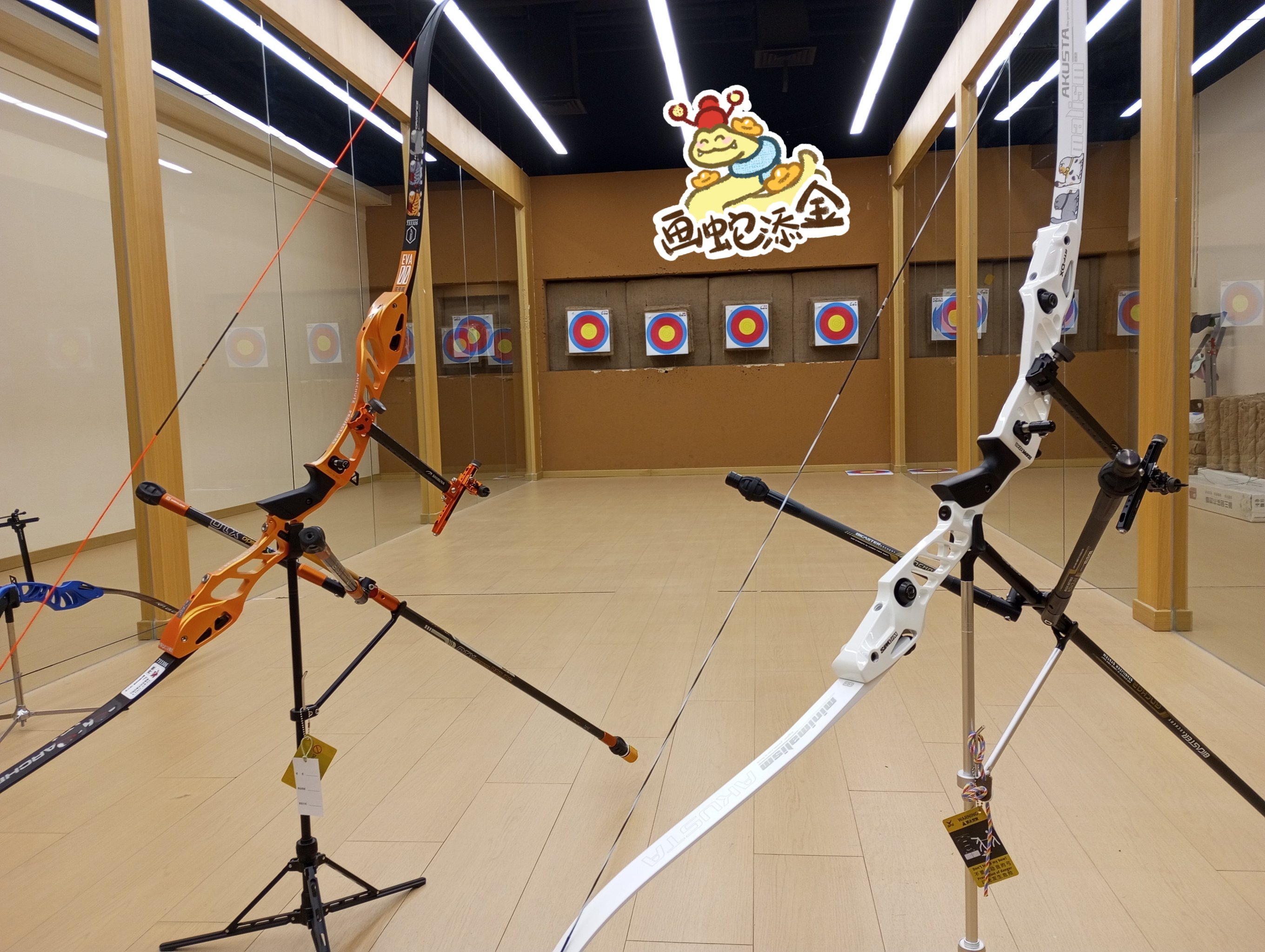 包含开云体育:射箭运动的技巧与策略，世界冠军的秘密的词条